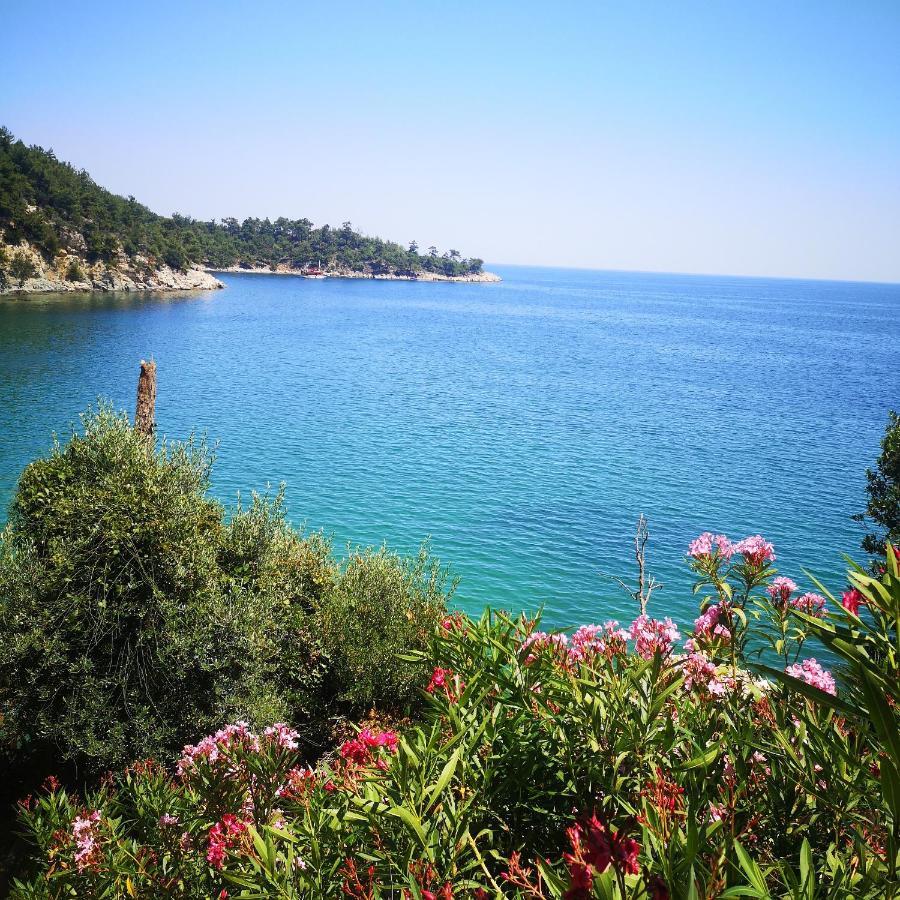 Bel Air Villa Skala Potamia  Exteriör bild